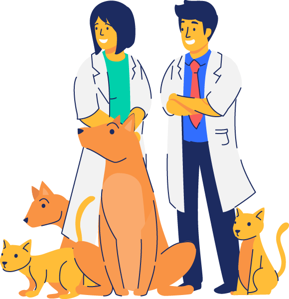 cat clinic