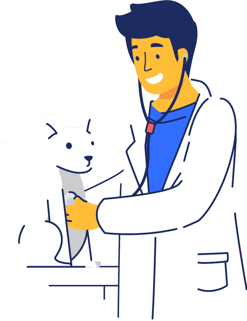 cat clinic edinburgh