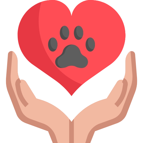 cat-clinic cat clinic