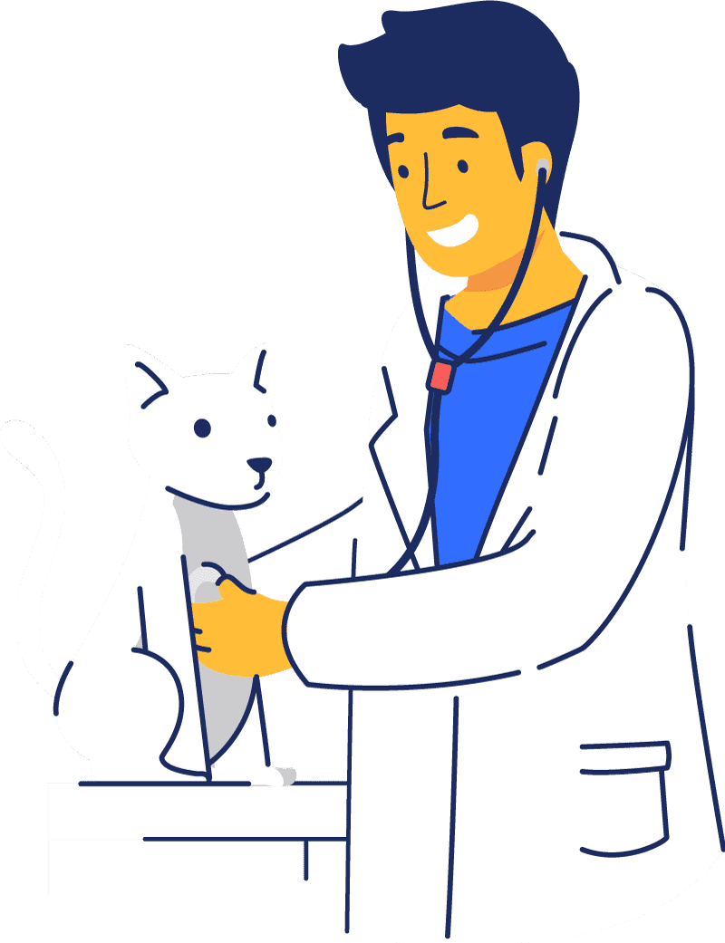 cat-clinic-edinburgh cat clinic edinburgh