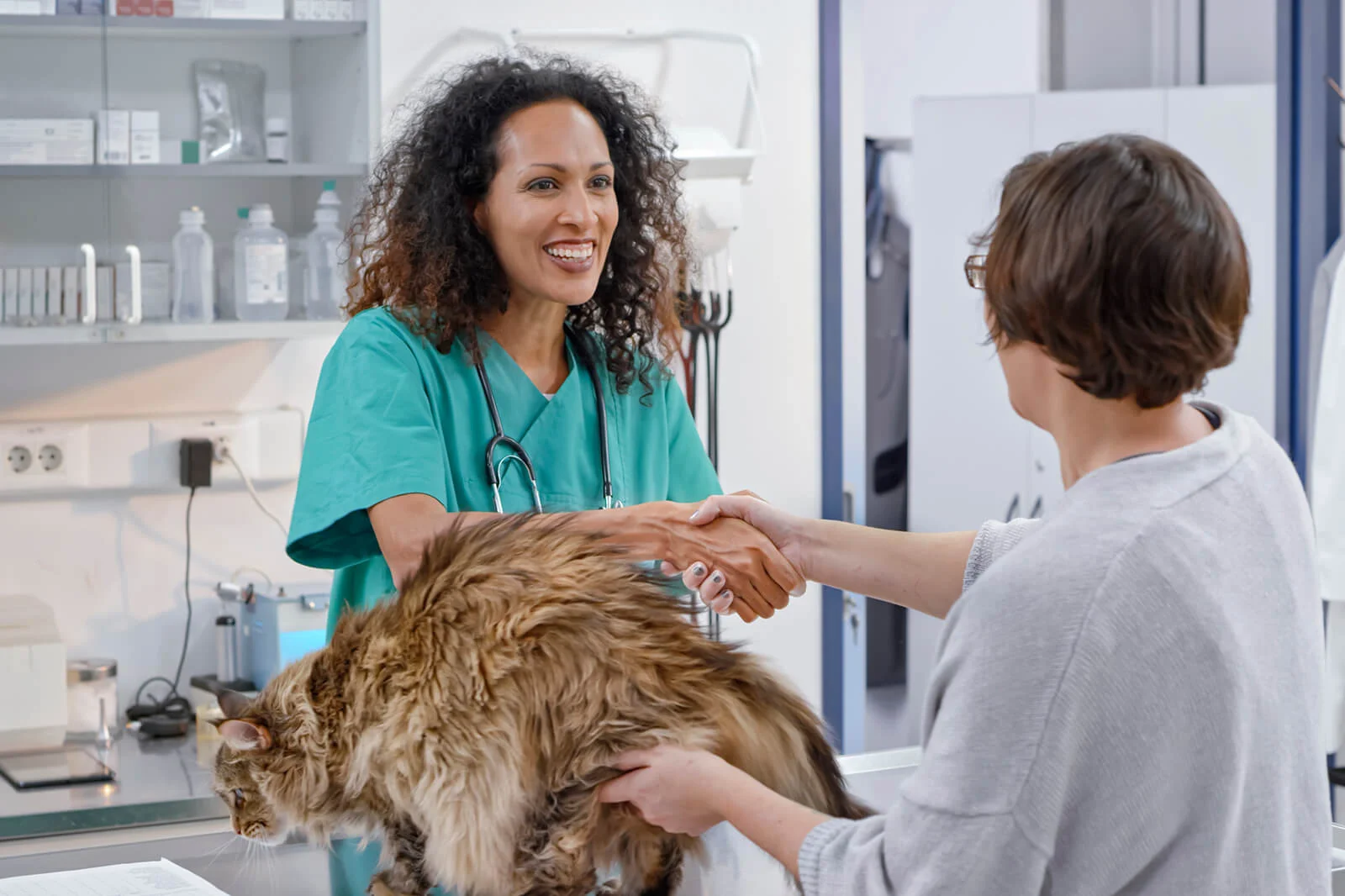 vet-client-patient-relationship