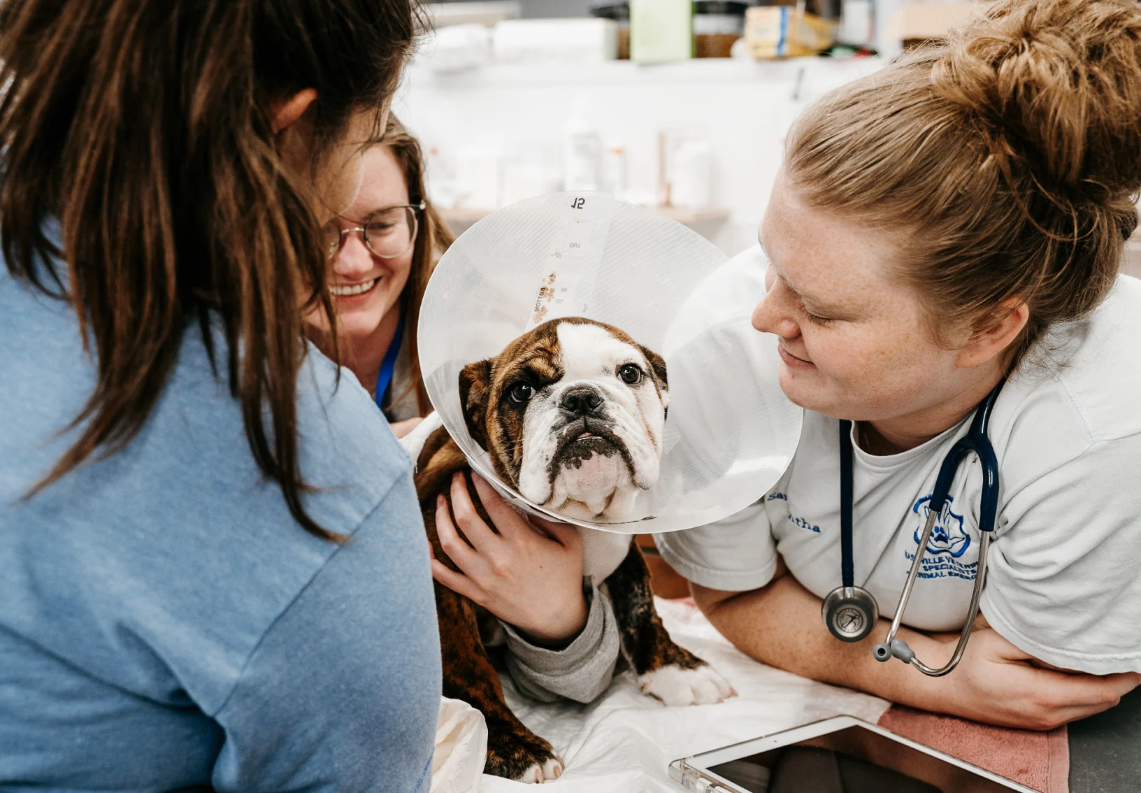 veterinary